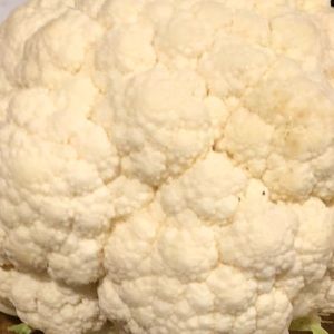 Meet your Posher, Kriket